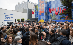 Mercado Temporário do Bolhão abre portas e mantém viva a alma do Porto
